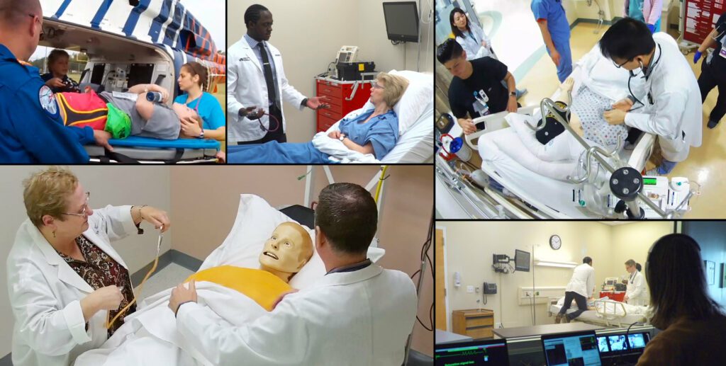 Simulation Software Education Management Solutions